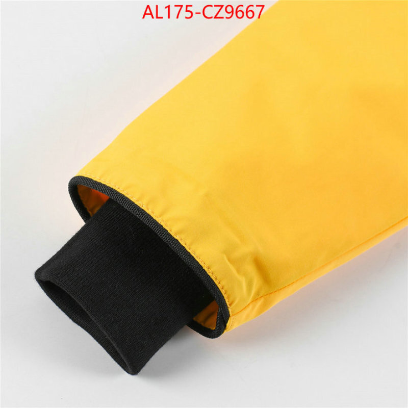 Kids clothing-Down jacket best replica 1:1 ID: CZ9667 $: 175USD