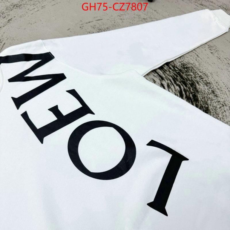 Clothing-Loewe aaaaa ID: CZ7807 $: 75USD
