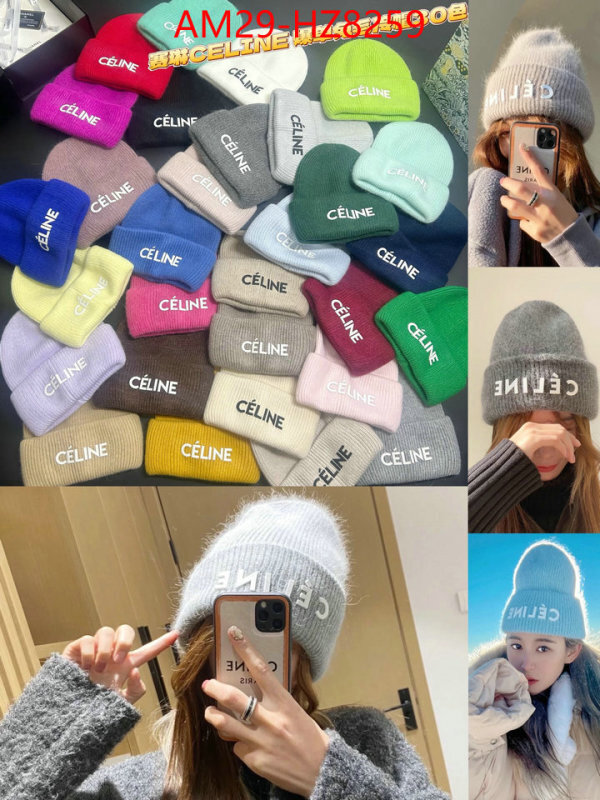 Cap(Hat)-Celine ID: HZ8259 $: 29USD