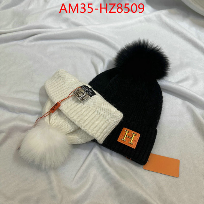 Cap(Hat)-Hermes ID: HZ8509 $: 35USD