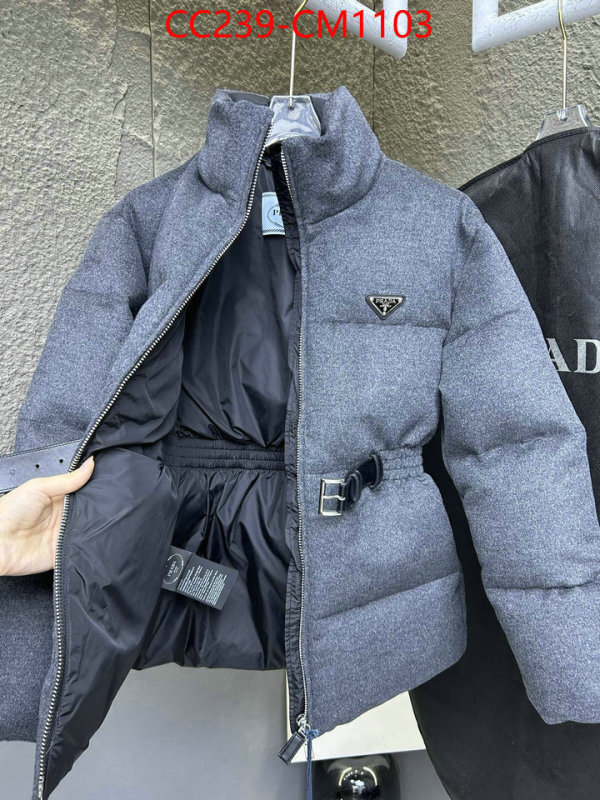 Down jacket Women-Prada where can i buy the best quality ID: CM1103 $: 239USD
