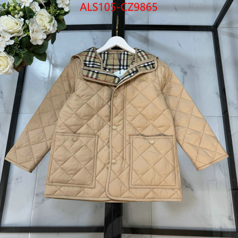 Kids clothing-Down jacket high quality ID: CZ9865 $: 105USD