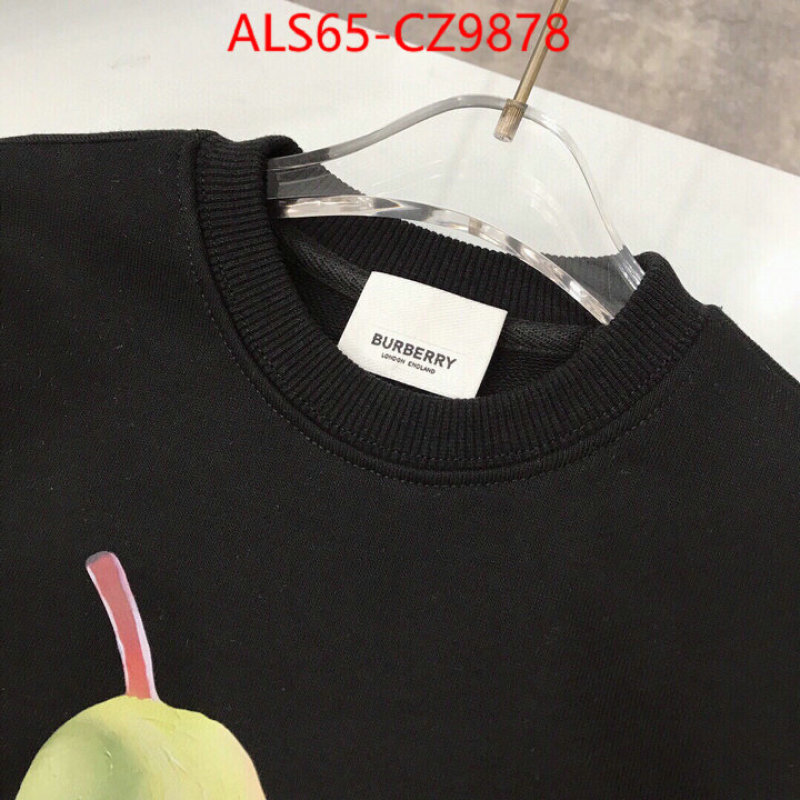 Kids clothing-Burberry best website for replica ID: CZ9878 $: 65USD