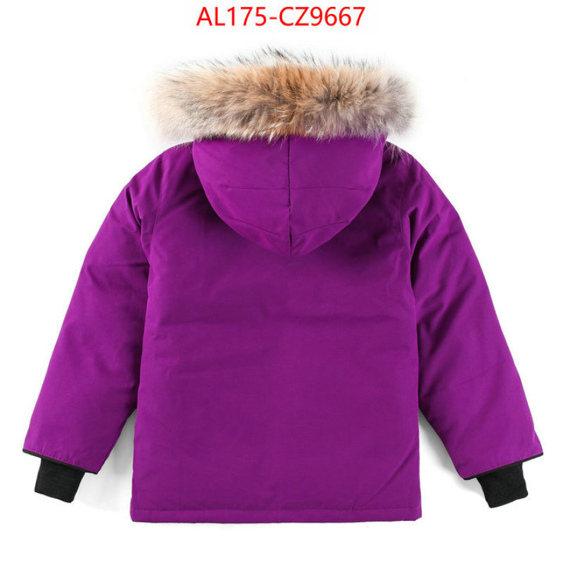 Kids clothing-Down jacket best replica 1:1 ID: CZ9667 $: 175USD