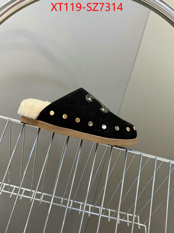 Women Shoes-CELINE what is top quality replica ID: SZ7314 $: 119USD