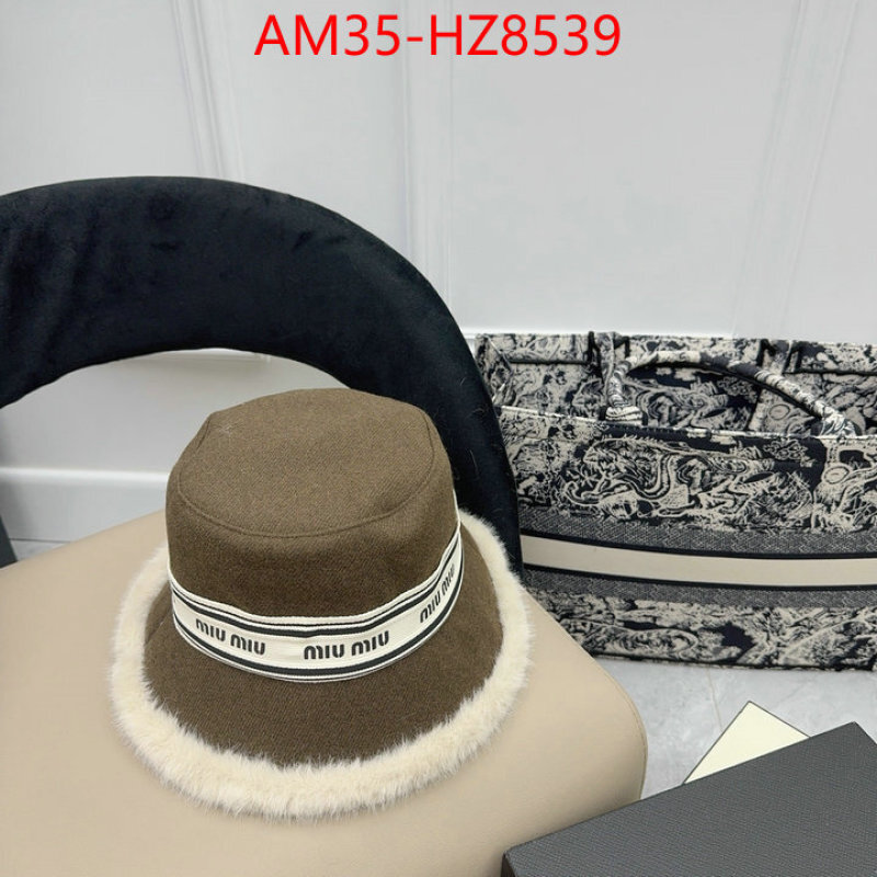 Cap(Hat)-Miu Miu ID: HZ8539 $: 35USD