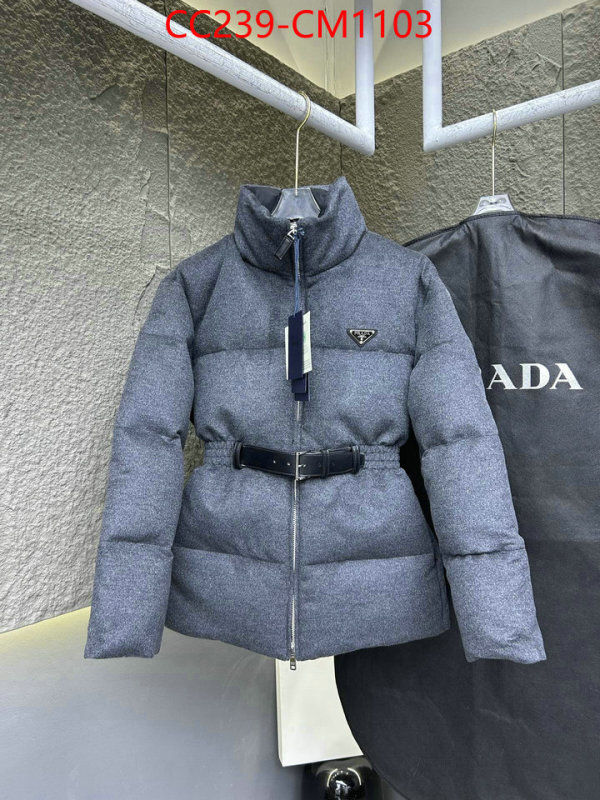 Down jacket Women-Prada where can i buy the best quality ID: CM1103 $: 239USD