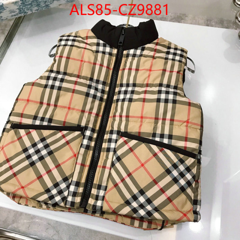 Kids clothing-Down jacket designer 1:1 replica ID: CZ9881 $: 85USD