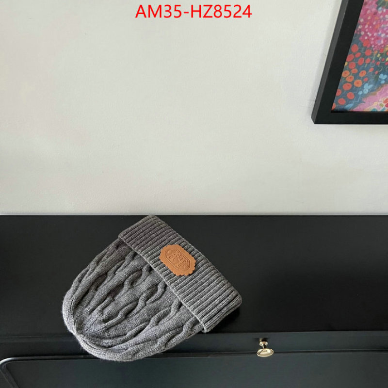 Cap(Hat)-LV ID: HZ8524 $: 35USD