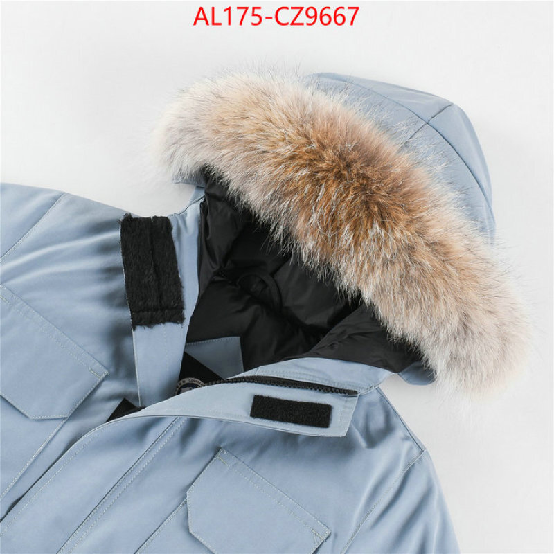 Kids clothing-Down jacket best replica 1:1 ID: CZ9667 $: 175USD