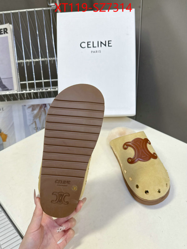 Women Shoes-CELINE what is top quality replica ID: SZ7314 $: 119USD