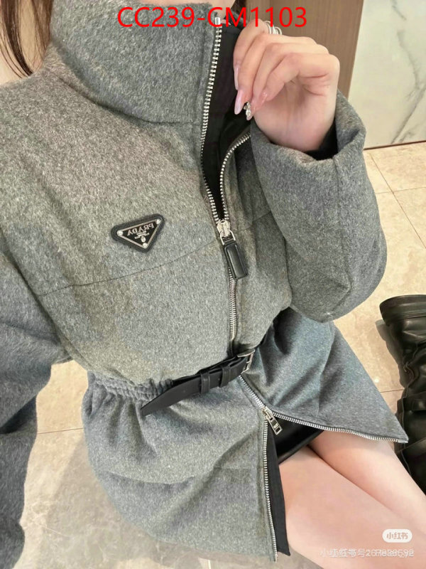 Down jacket Women-Prada where can i buy the best quality ID: CM1103 $: 239USD