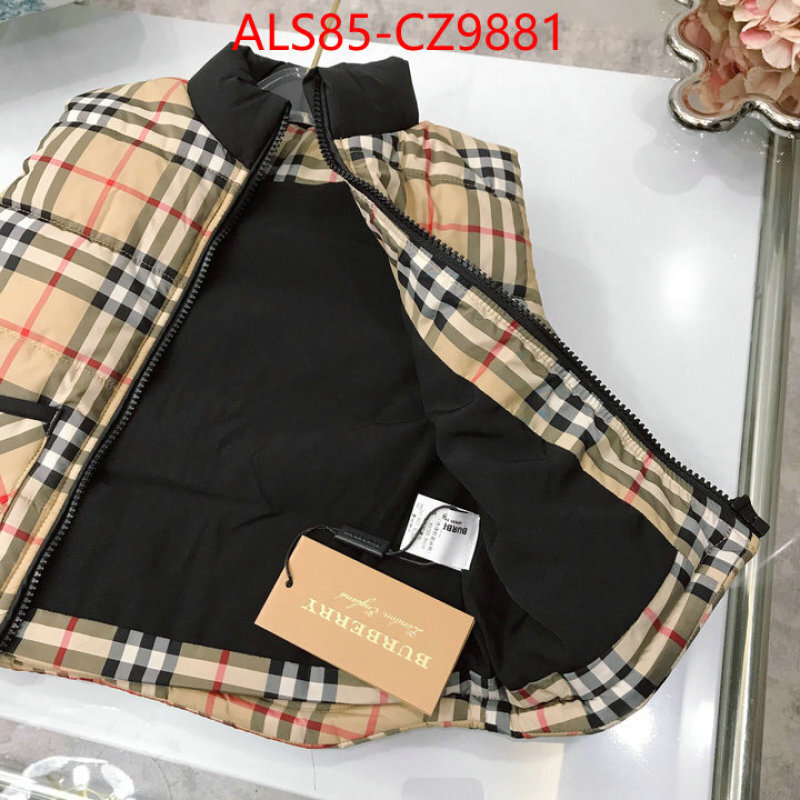 Kids clothing-Down jacket designer 1:1 replica ID: CZ9881 $: 85USD