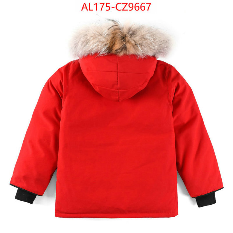 Kids clothing-Down jacket best replica 1:1 ID: CZ9667 $: 175USD