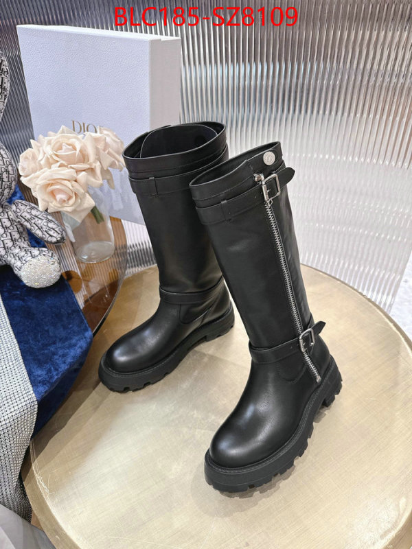 Women Shoes-Dior online from china designer ID: SZ8109 $: 185USD