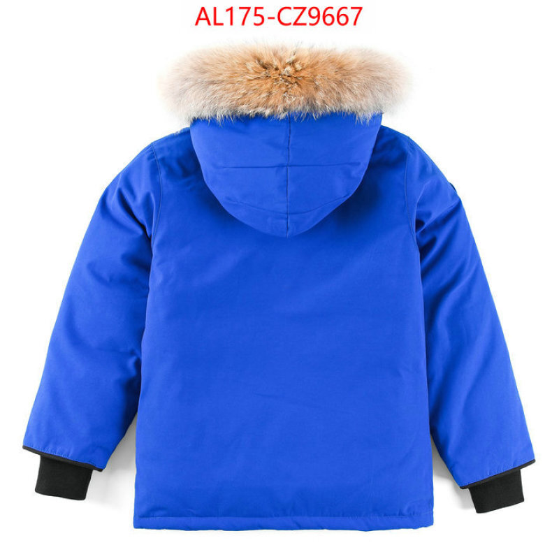 Kids clothing-Down jacket best replica 1:1 ID: CZ9667 $: 175USD