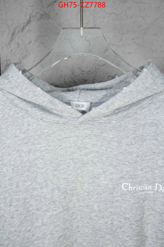 Clothing-Dior 1:1 ID: CZ7788 $: 75USD