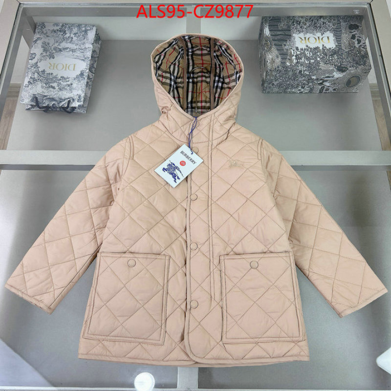 Kids clothing-Down jacket sellers online ID: CZ9877 $: 95USD