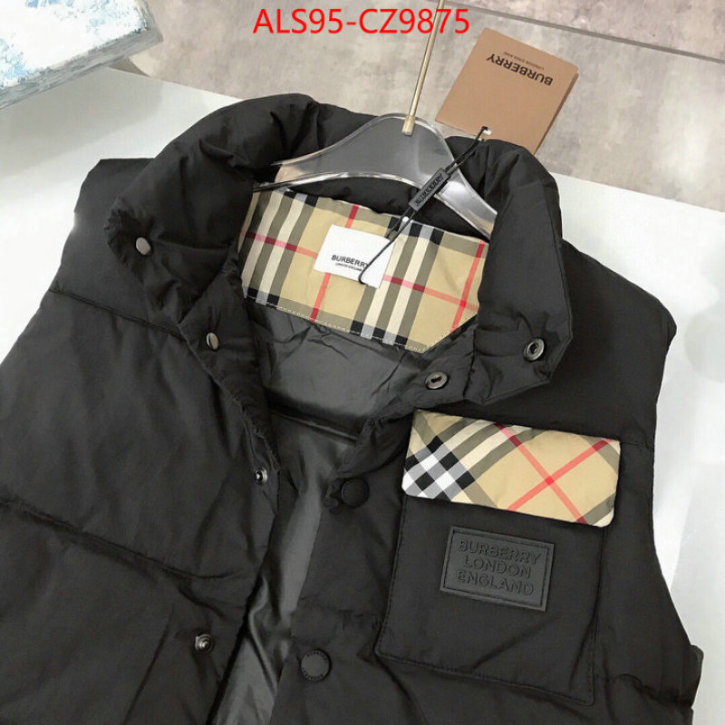 Kids clothing-Down jacket how to buy replica shop ID: CZ9875 $: 95USD