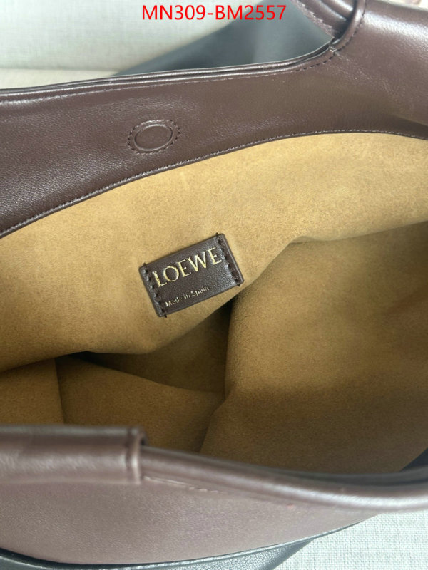 Loewe Bags(TOP)-Handbag- best site for replica ID: BM2557 $: 309USD,