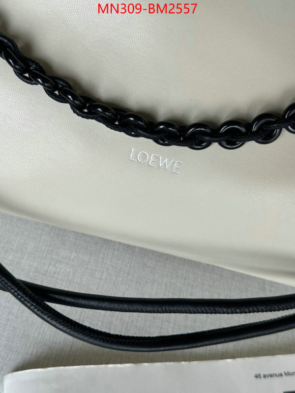 Loewe Bags(TOP)-Handbag- best site for replica ID: BM2557 $: 309USD,