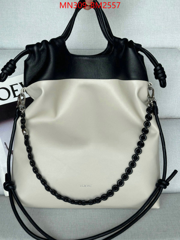 Loewe Bags(TOP)-Handbag- best site for replica ID: BM2557 $: 309USD,