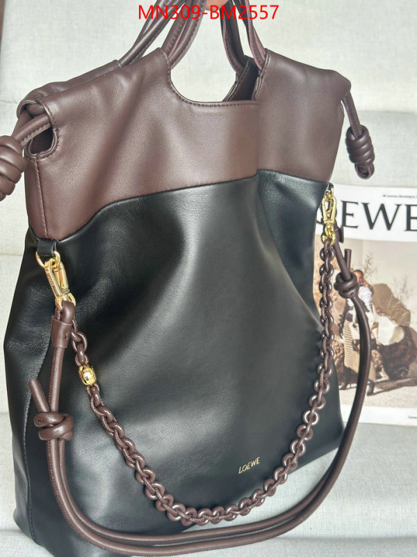 Loewe Bags(TOP)-Handbag- best site for replica ID: BM2557 $: 309USD,