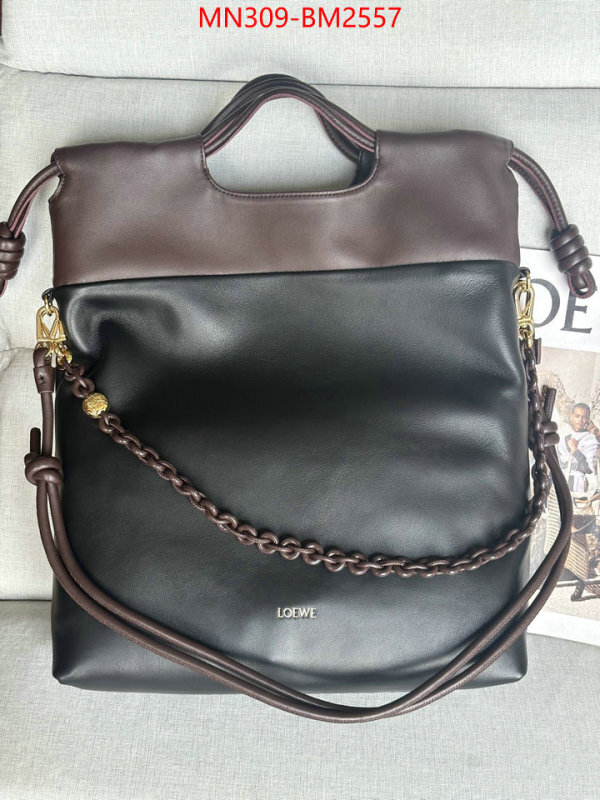 Loewe Bags(TOP)-Handbag- best site for replica ID: BM2557 $: 309USD,