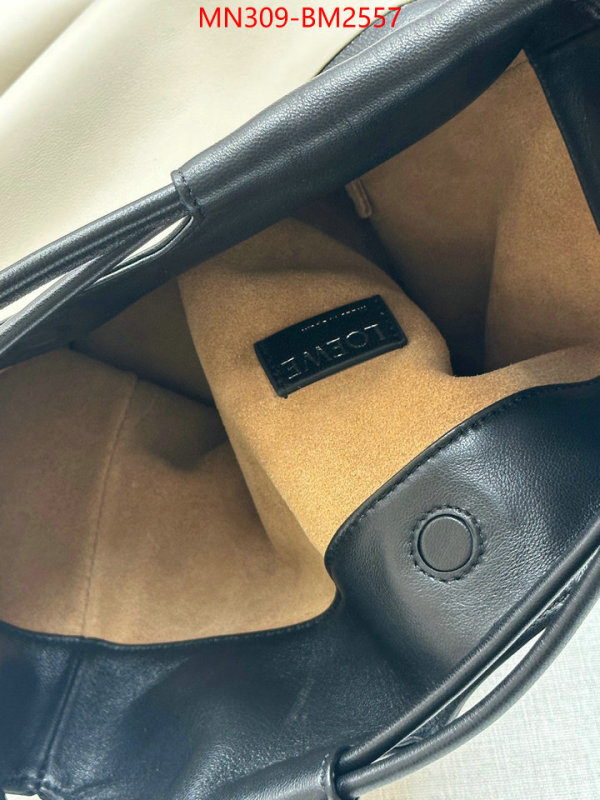 Loewe Bags(TOP)-Handbag- best site for replica ID: BM2557 $: 309USD,