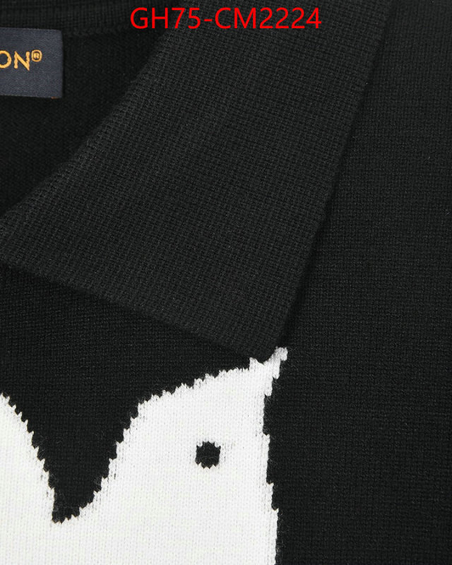 Clothing-LV is it ok to buy ID: CM2224 $: 75USD