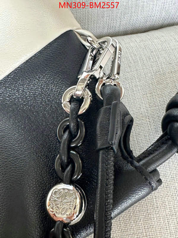 Loewe Bags(TOP)-Handbag- best site for replica ID: BM2557 $: 309USD,