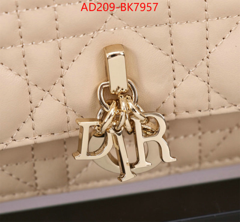Dior Bags(TOP)-Crossbody- knockoff highest quality ID: BK7957 $: 209USD,