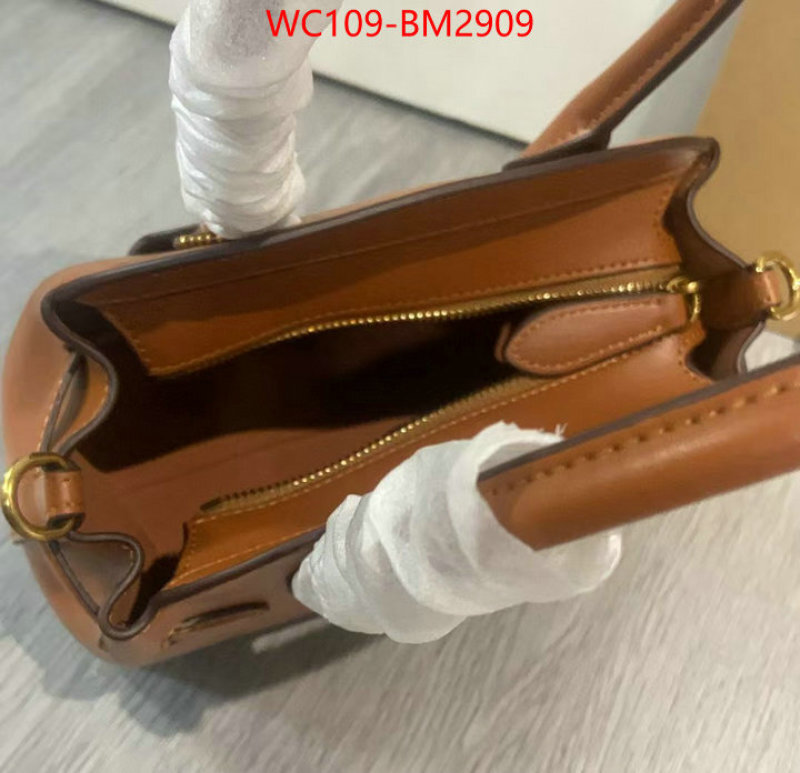 Coach Bags(4A)-Handbag- at cheap price ID: BM2909 $: 109USD,