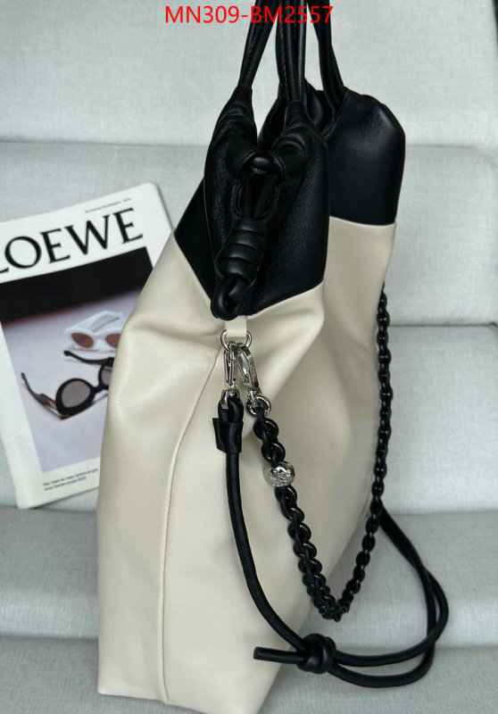 Loewe Bags(TOP)-Handbag- best site for replica ID: BM2557 $: 309USD,