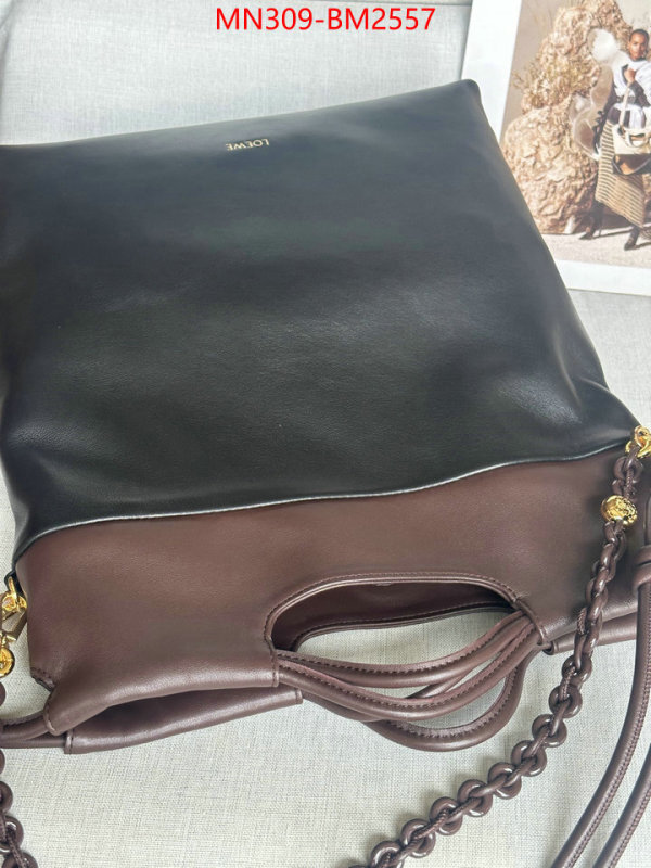 Loewe Bags(TOP)-Handbag- best site for replica ID: BM2557 $: 309USD,