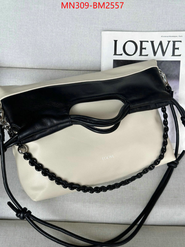 Loewe Bags(TOP)-Handbag- best site for replica ID: BM2557 $: 309USD,