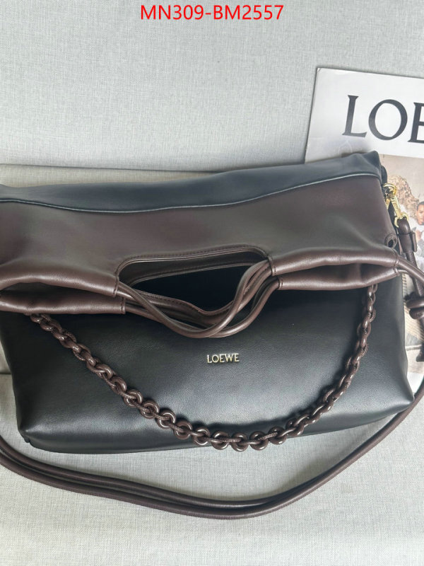 Loewe Bags(TOP)-Handbag- best site for replica ID: BM2557 $: 309USD,