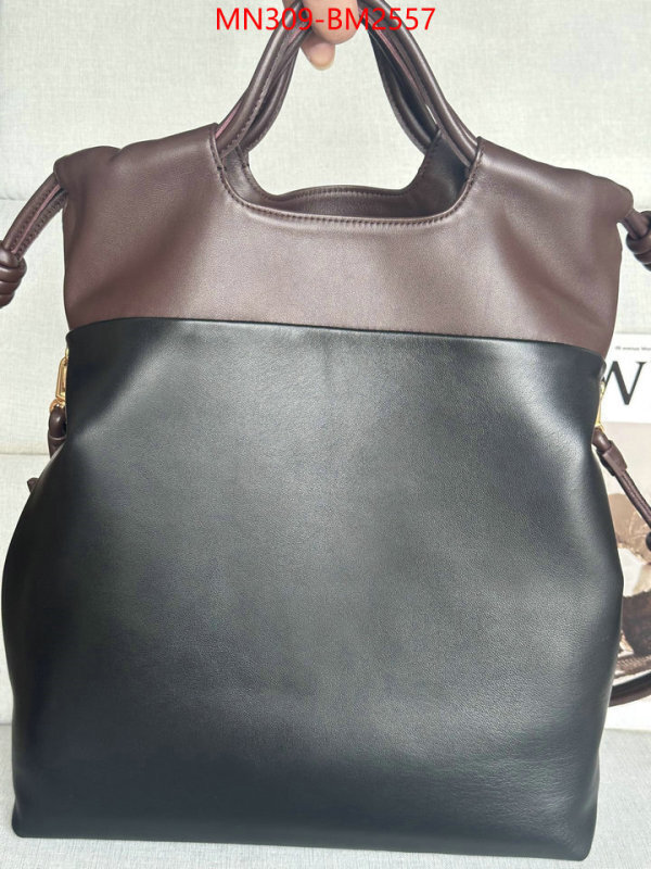 Loewe Bags(TOP)-Handbag- best site for replica ID: BM2557 $: 309USD,