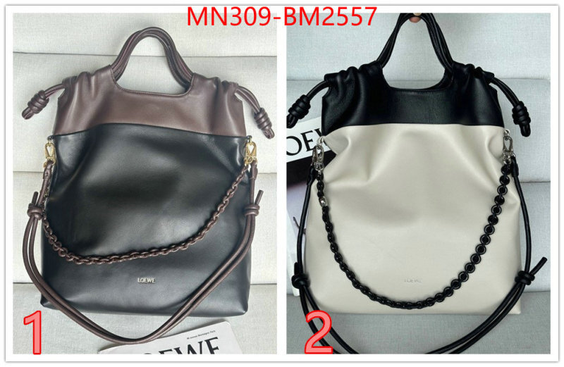 Loewe Bags(TOP)-Handbag- best site for replica ID: BM2557 $: 309USD,