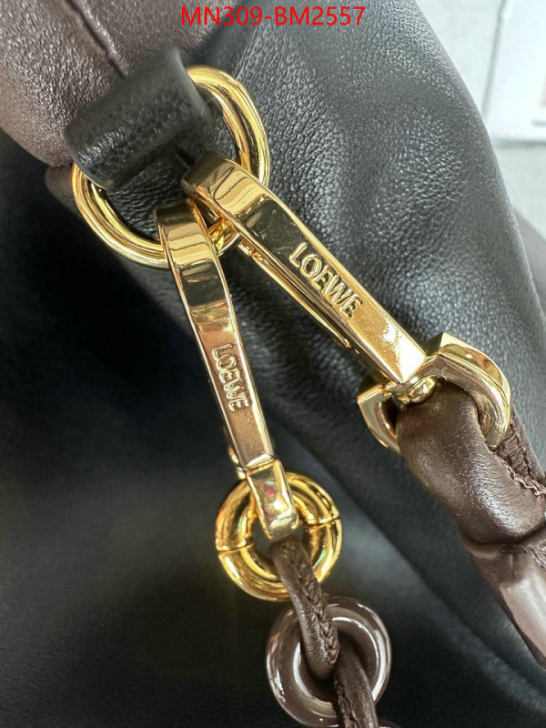 Loewe Bags(TOP)-Handbag- best site for replica ID: BM2557 $: 309USD,