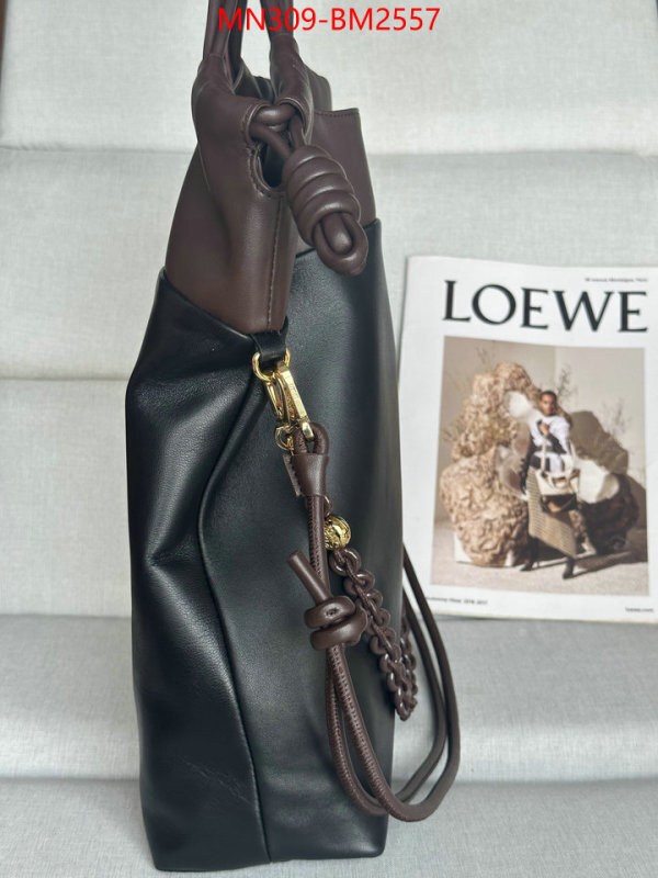 Loewe Bags(TOP)-Handbag- best site for replica ID: BM2557 $: 309USD,