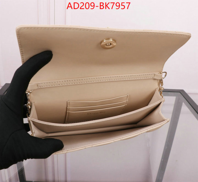 Dior Bags(TOP)-Crossbody- knockoff highest quality ID: BK7957 $: 209USD,