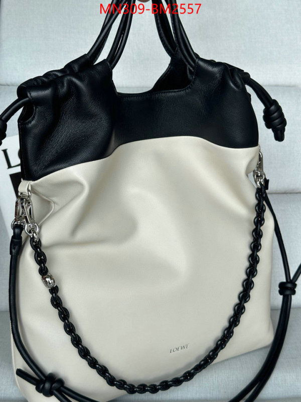 Loewe Bags(TOP)-Handbag- best site for replica ID: BM2557 $: 309USD,