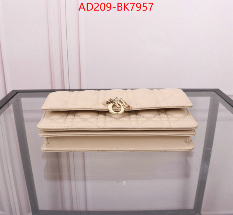 Dior Bags(TOP)-Crossbody- knockoff highest quality ID: BK7957 $: 209USD,