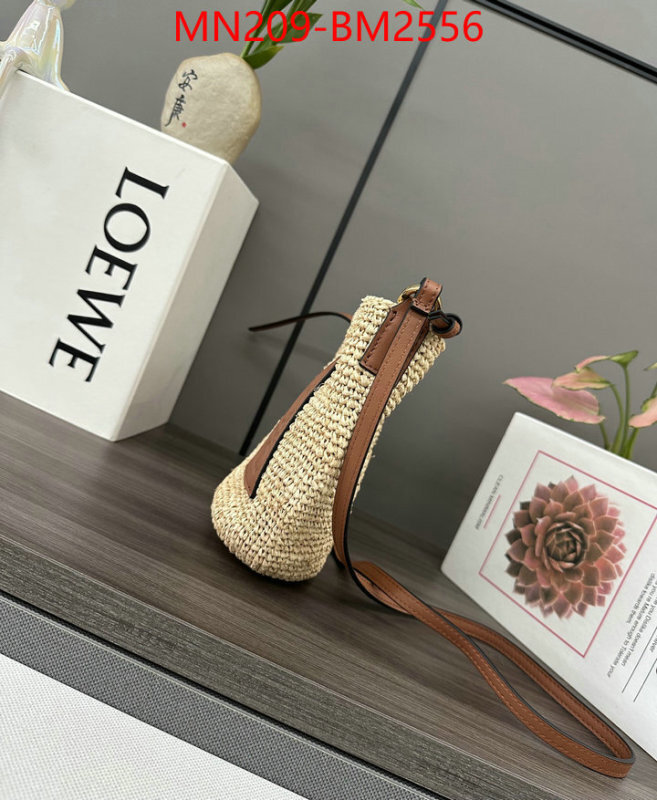 Loewe Bags(TOP)-Handbag- knockoff highest quality ID: BM2556 $: 209USD,