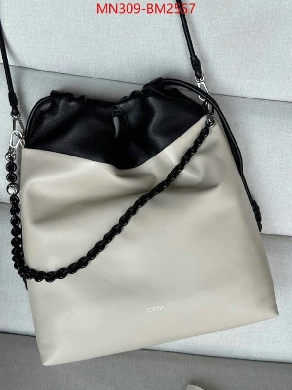 Loewe Bags(TOP)-Handbag- best site for replica ID: BM2557 $: 309USD,