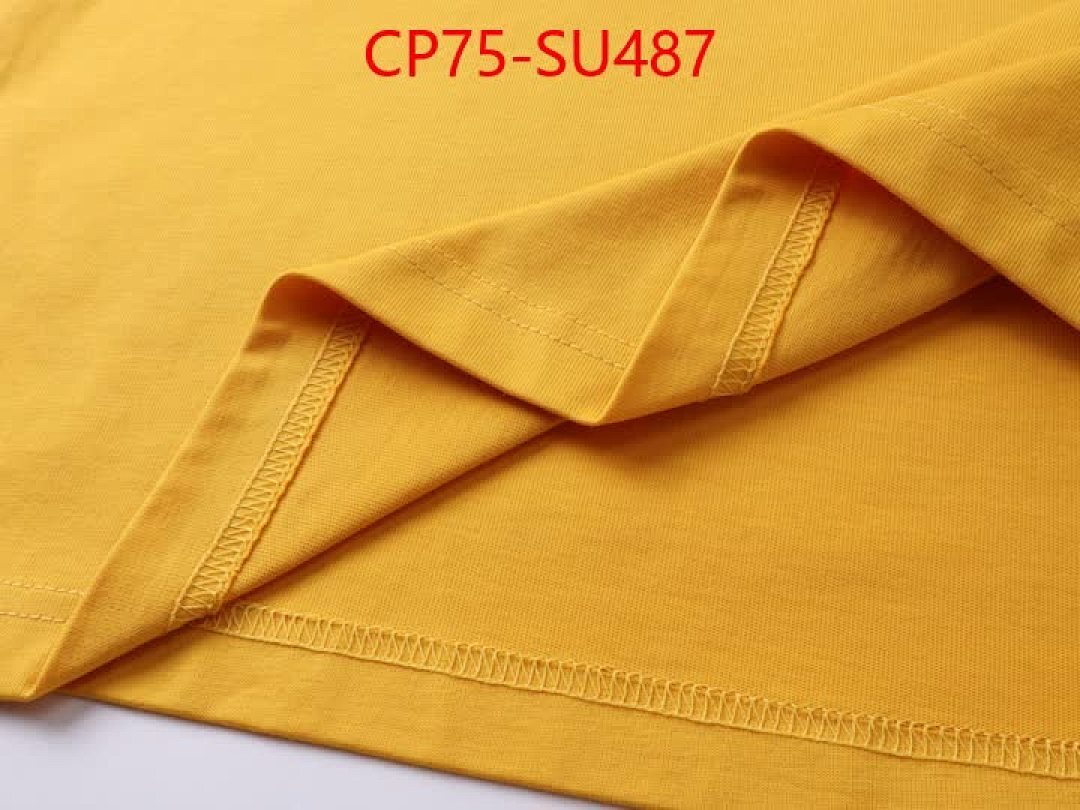 Clothing-Balenciaga ID: SU487 $: 75USD