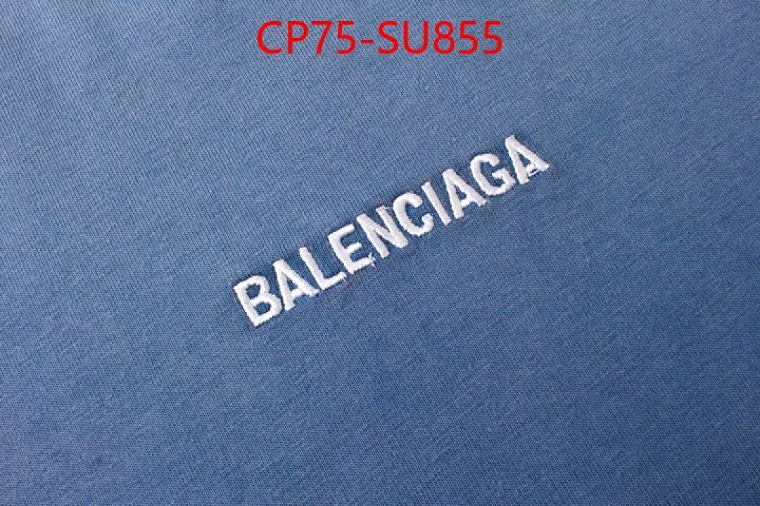 Clothing-Balenciaga ID: SU855 $: 75USD