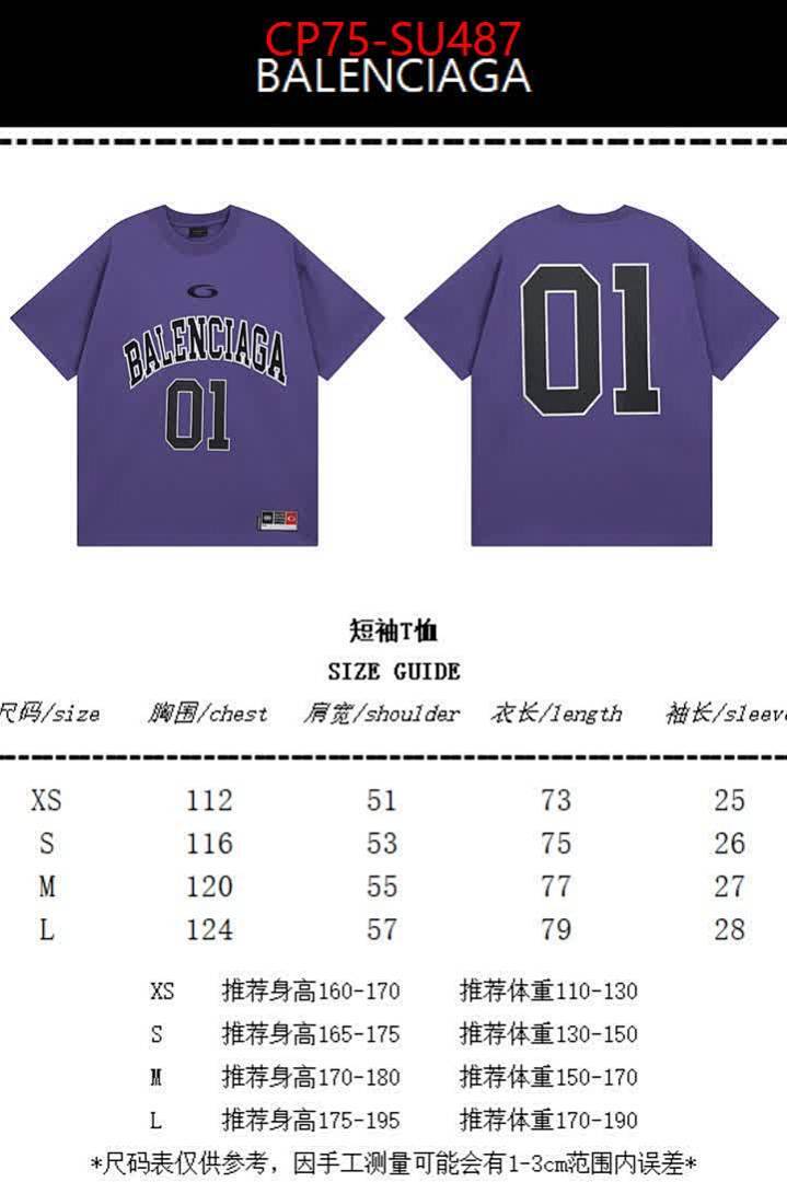 Clothing-Balenciaga ID: SU487 $: 75USD