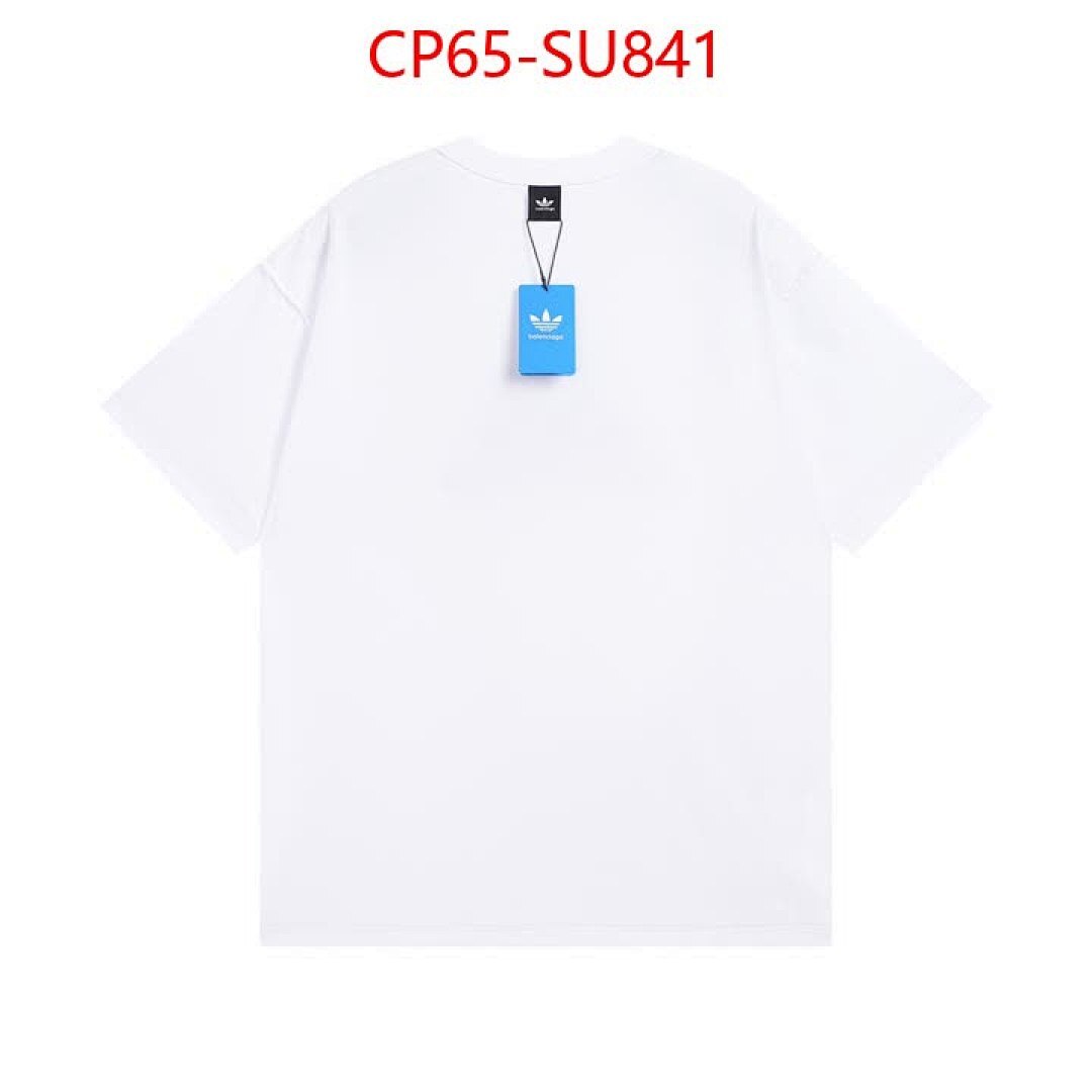 Clothing-Balenciaga ID: SU841 $: 65USD